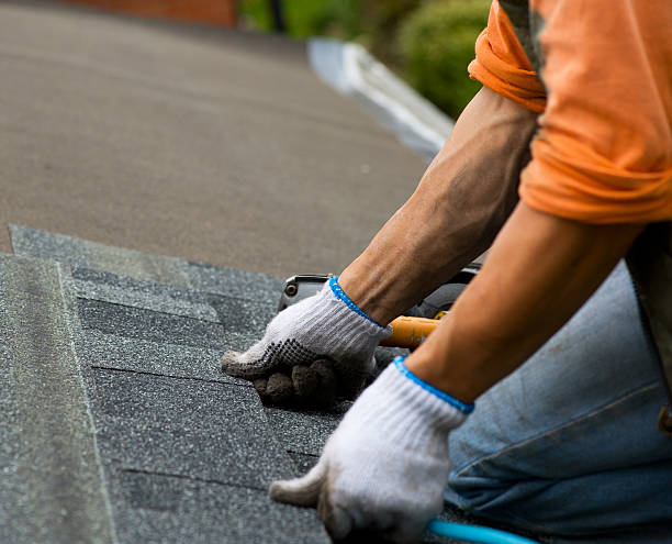 Best Roofing Contractors for Homes  in French Island, WI