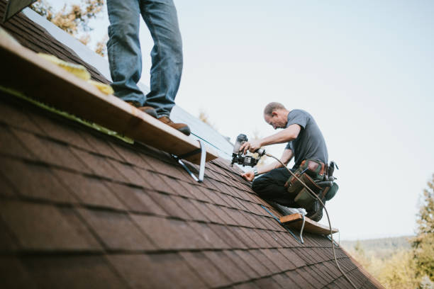 Best Roof Gutter Cleaning  in French Island, WI